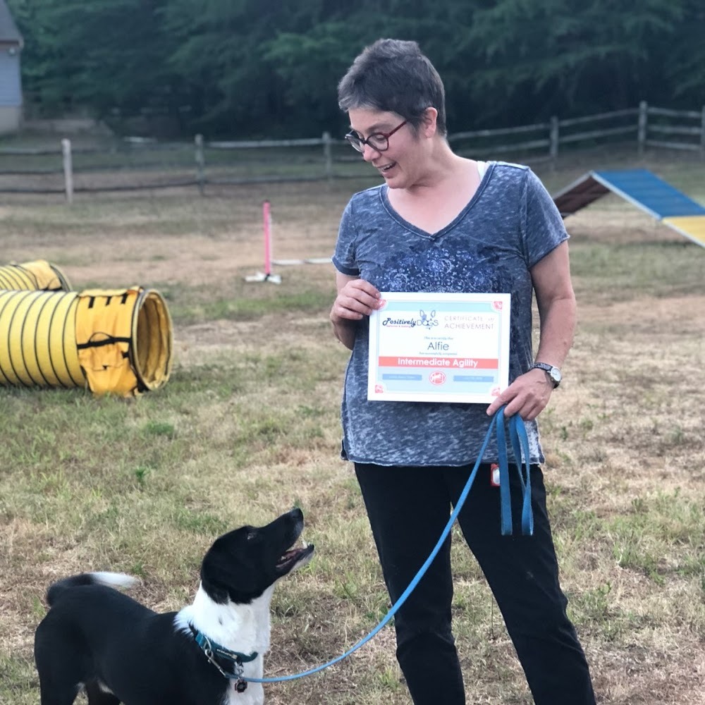 Meet your Posher, Alexis